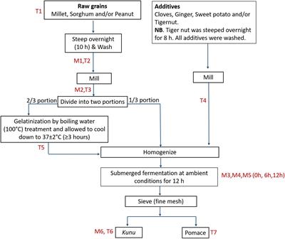 High-Throughput Sequence Analyses of Bacterial Communities and Multi-Mycotoxin Profiling During Processing of Different Formulations of Kunu, a Traditional Fermented Beverage